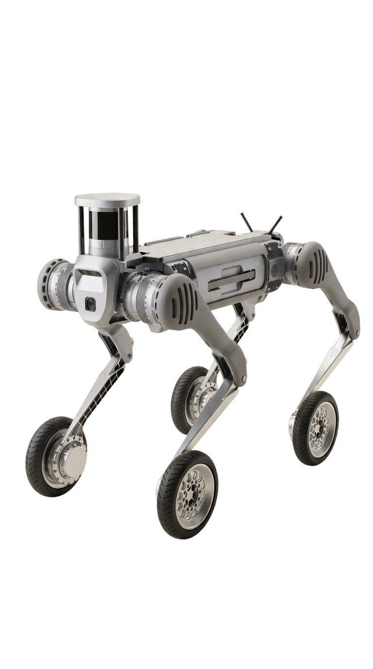 B2-W